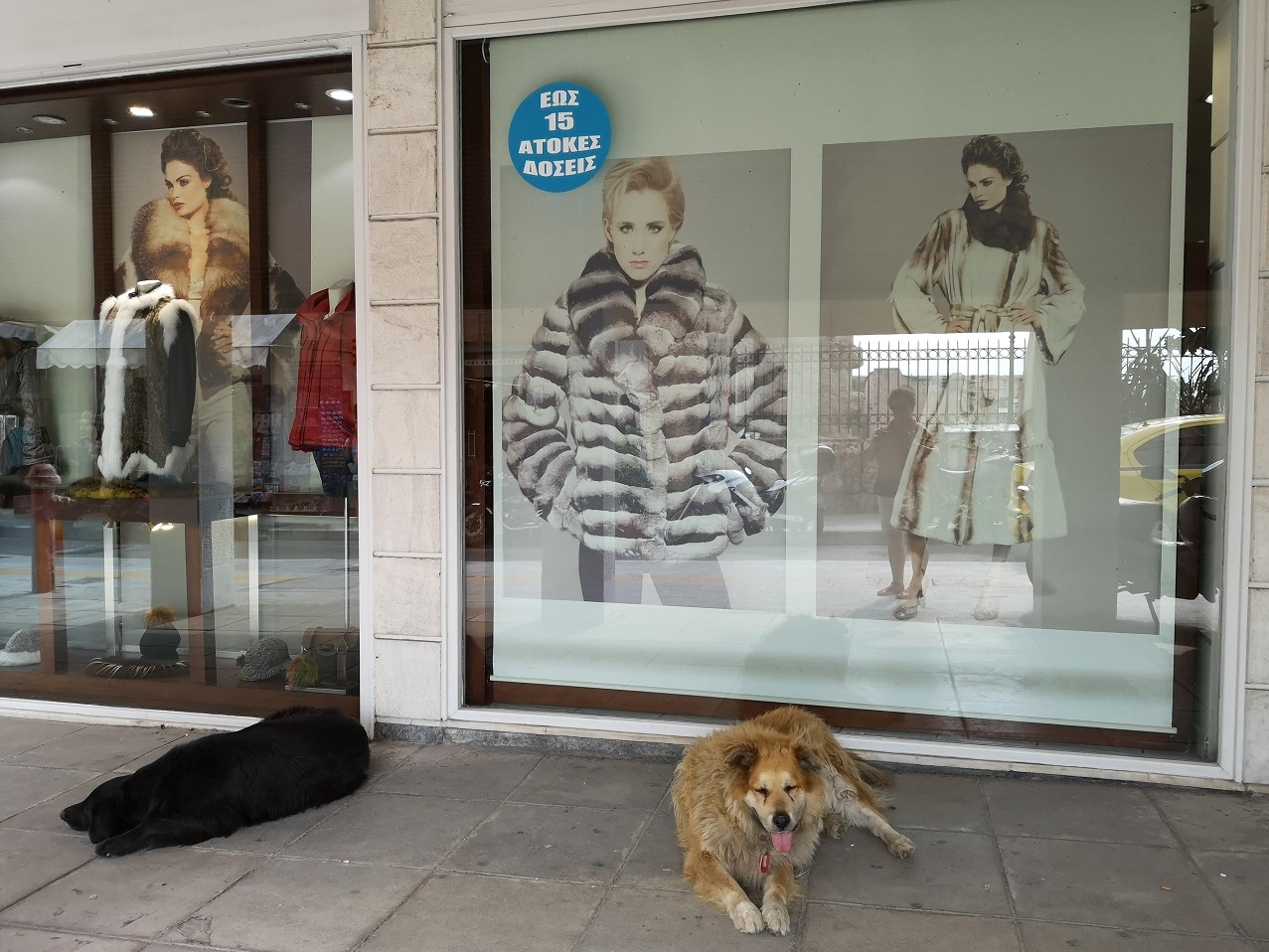 Shop dummies wearing fur jackets with dogs