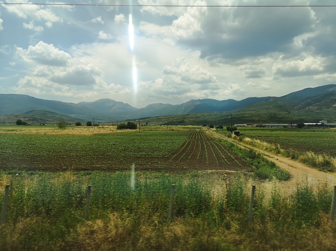 Green fertile countryside flashes by through train window 